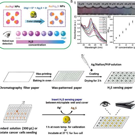 A Sensing Mechanism Of The Proposed Assay Au Agi Coreshell Nps Are