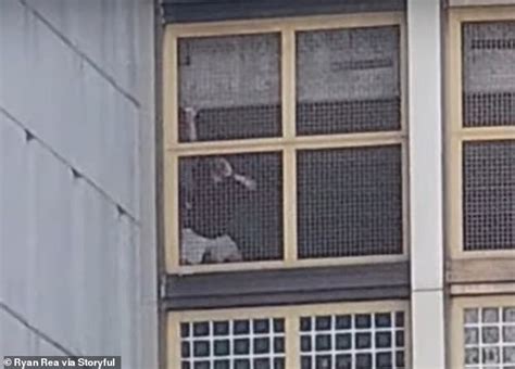 Prisoners Holler At Bikini Clad Women Sunbathing At Rooftop Pool Hot Lifestyle News