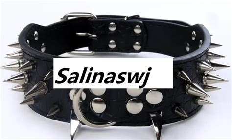 Spiked Studded Leather Spiked Dog Collars 2 Inch Wide Multi Colored