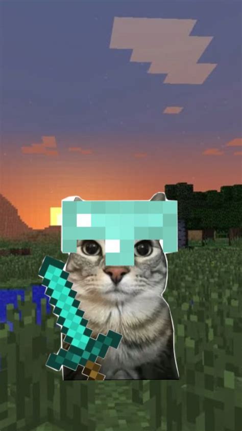 minecraft cat meme
