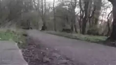 De Beste Openbare Anale Seks Met Een Dikke Dildo En Een Dikke Kont In Park XHamster