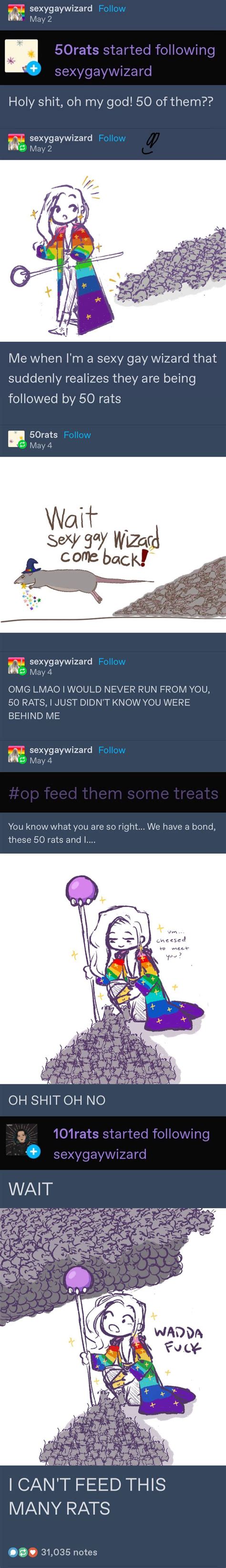 Gay Wizard Rats R CuratedTumblr