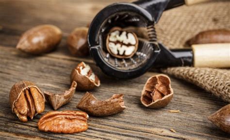 Орехи пекан: польза и вред для организма