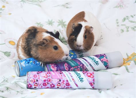 Сухие шампуни Batiste* - Ann's blog