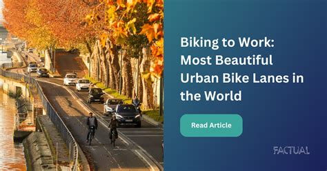 Biking To Work The Best Urban Bike Lanes In The World Factual Consulting