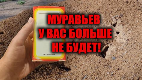 МУРАВЬИ УБЕГАЮТ НАВСЕГДА! МУРАВЬИ БОЯТСЯ ЭТОГО! ИЗБАВИТЬСЯ ОТ МУРАВЬЕВ ...