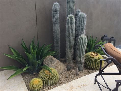 Stunning Cactus Garden Design Ideas