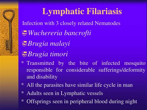 Ppt Lymphatic Filariasis Powerpoint Presentation Free Download Id9566171