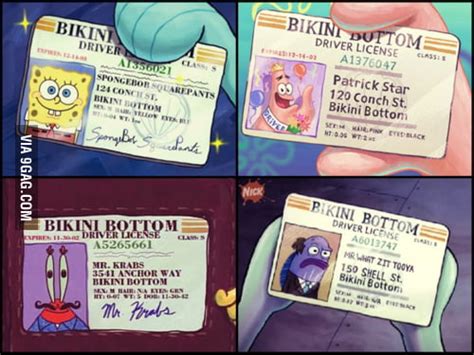 Bikini Bottom Driving Licenses 9GAG