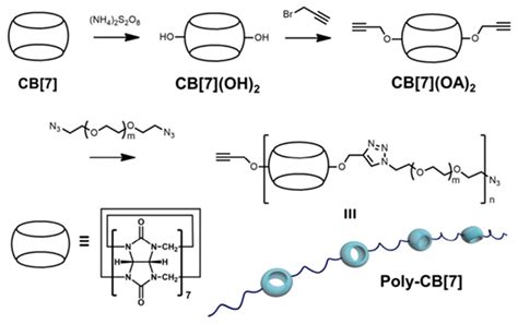 Polymers Free Full Text Supramolecular Combination Cancer Therapy