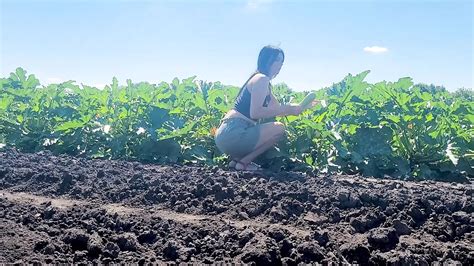 Tow Hook Insertion Amateur Amateur Porn Xhamster