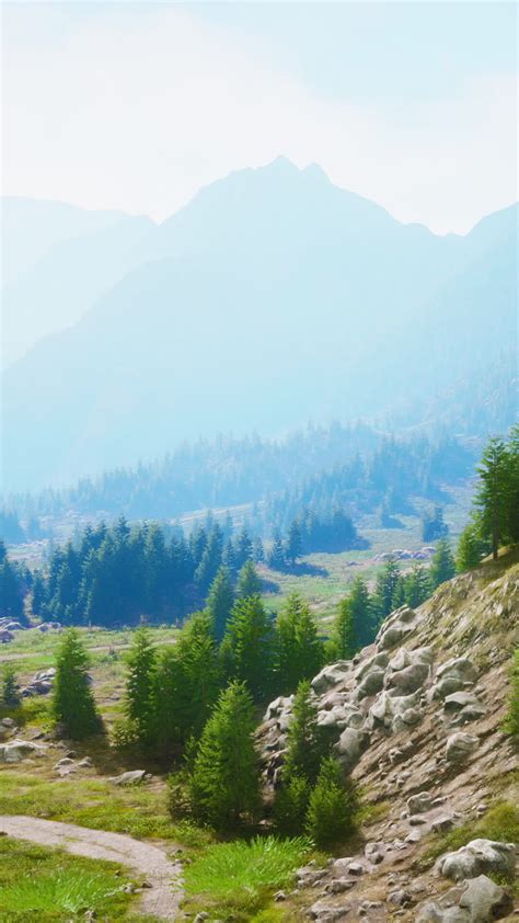 Mountain path hiking to woods pathways 44602154 Stock Video at Vecteezy