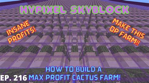 Cactus Farm Build Guide I Hypixel Skyblock 216 Youtube