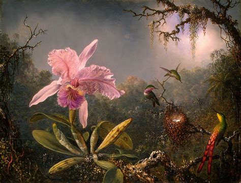 Cattleya Orchid and Three Hummingbirds, 1871 - Martin Johnson Heade ...