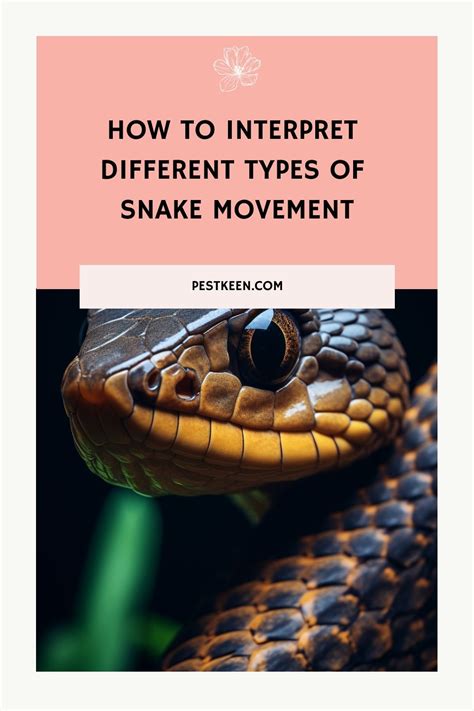 How To Interpret Different Types Of Snake Movement In 2024 Types Of
