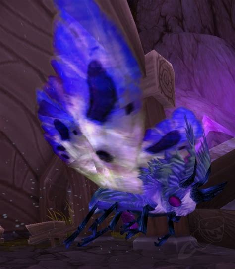Frenzied Manafeeder Npc World Of Warcraft