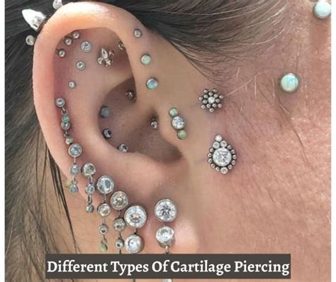 Cartilage Piercing And Their Types A Detailed Guide