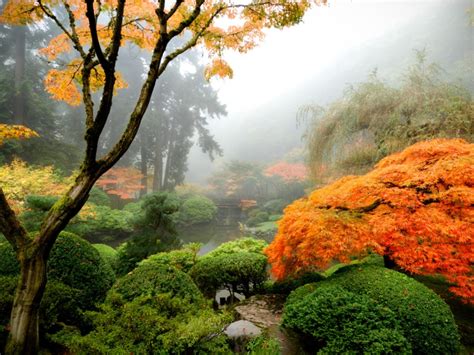 Plants Used In Japanese Gardens Where To Find Las Most Exquisite