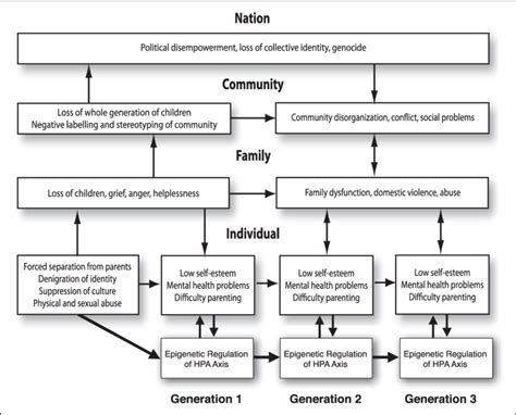 Transgenerational Transmission Of Historical Trauma The Diagram Depicts