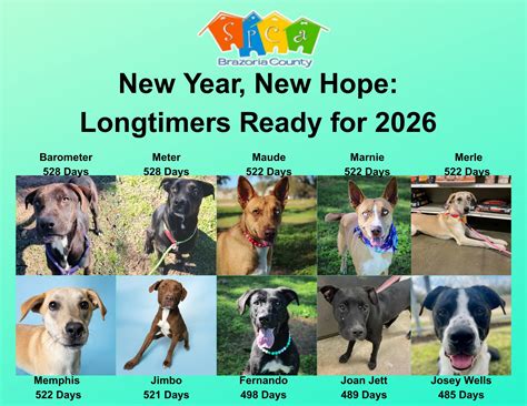 What the new filing rules at Brazoria County Clerk mean 9