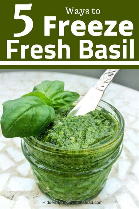 A Jar Filled With Pesto And Basil On Top Of A Table