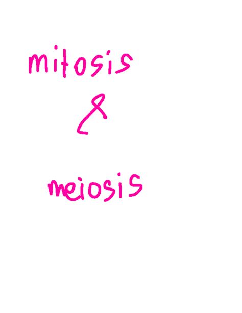 Mitosis And Meiosis Notes Ib Dp Bio Hl Mitosis Meiosis Purpose