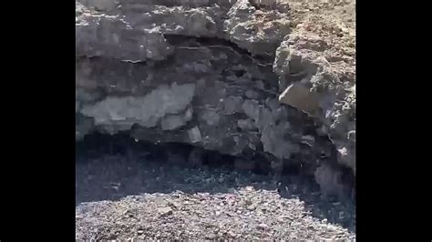 Public Bj On Beach Watch The Best Free Porn Letmejerk