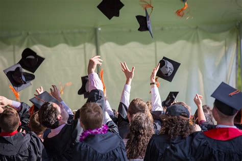 Qual A Diferença De Faculdade Para Centro Universitario