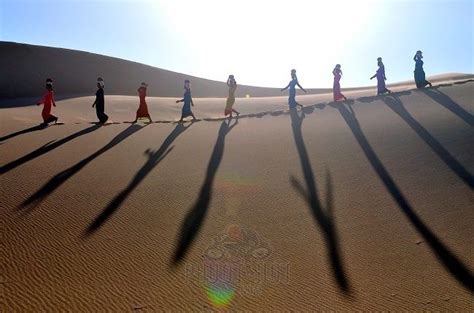 Ph T I C T Nam C Ng Ninh Thu N Kh M Ph Sa M C V Ng Ph T Hot Cats Field