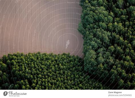 Luftaufnahme Von Wald Und Landwirtschaftlichen Fl Chen Entwaldung