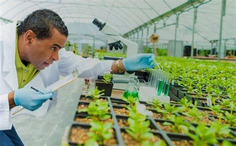 Applications of Biotechnology In Agriculture