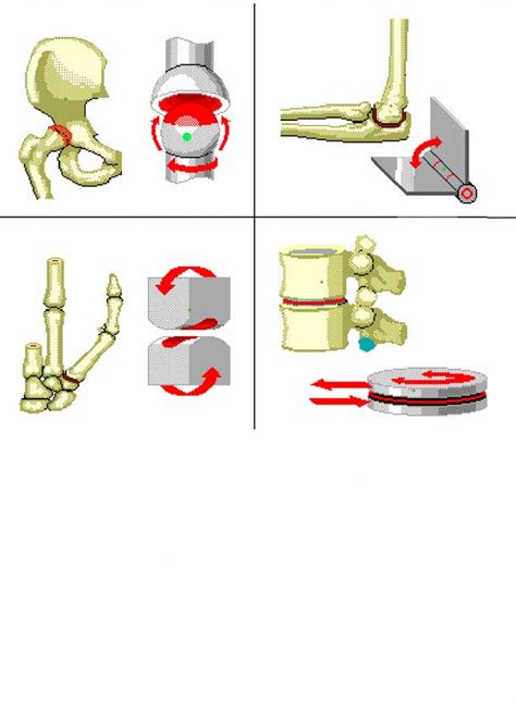 What Is Ball And Socket Joint