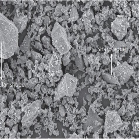 Sem Images Of Fly Ash Ggbs Based Gc Samples A Fg Ambient Cured B