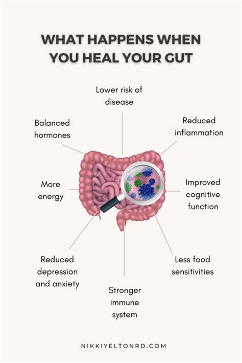5 Reasons Why Gut Health is Important - Nikki Yelton RD
