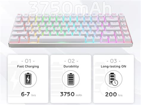 Mua Rk Royal Kludge Rk Pro Rgb Triple Mode Bt G Usb C Hot Swappable Mechanical
