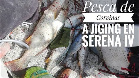 Pesca De Corvinas Con Tecnica Jigging Chile La Serena Iv Region Youtube