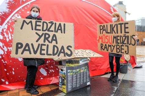 Medziai Gyvenimas Per Brangus
