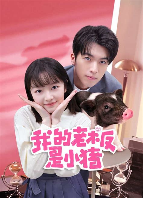 My Piggy Boss Sinopsis Pemain OST Episode Review