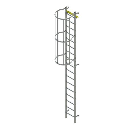 Vertical Fixed Ladder With Safety Cage - Ladders & Access