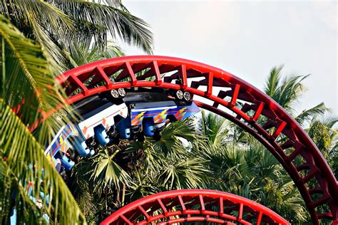 roller coaster visualizer roller coaster images pixabay