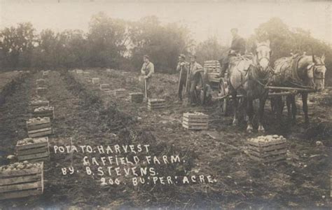 Michigan Potatoes Farming Selling And Whatnot 1900 1955