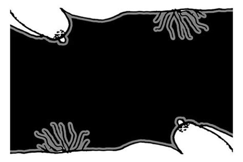 Black Frame With Nude Women Drawing Graphic By Dflcprints Creative Fabrica