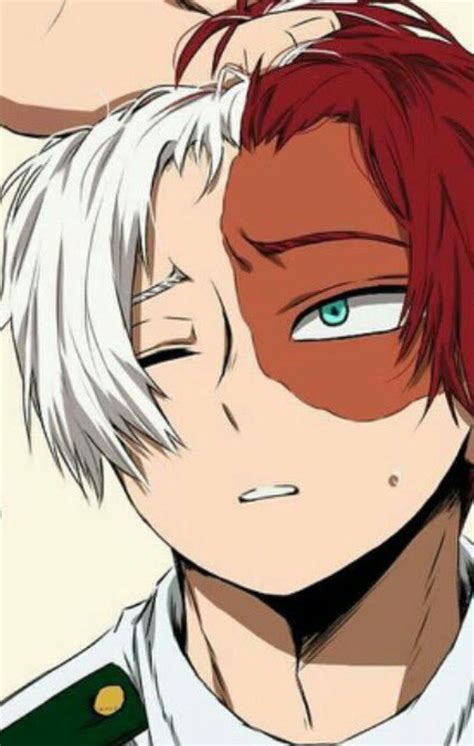 Shoto Todoroki Hot Fanart Himama