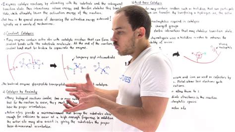 Mechanisms Of Enzyme Catalysis YouTube