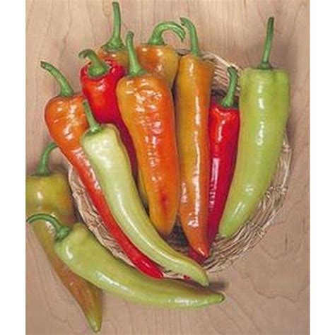 Budapest Hot Banana Hot Pepper Seeds Etsy