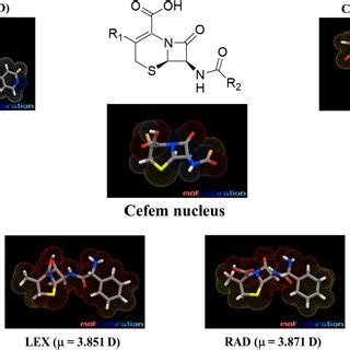 comparison   cephem nucleus   generation cephalosporins