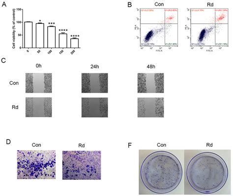 Figure S Effects Of Ginsenoside Rd On Cal A Cck Showing The