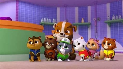 Paw Patrol Season Episode Pups Save The Runaway Kitties Video My Xxx Hot Girl