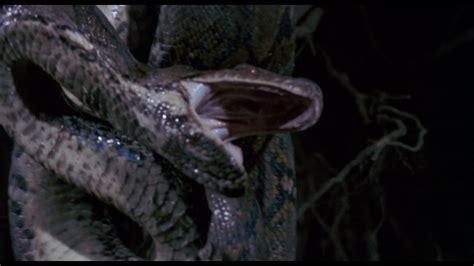 Cool Ass Cinema Sssssss 1973 Review