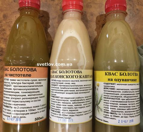 Квас Болотова на чистотеле: рецепты, отзывы врачей, лечебные свойства ...